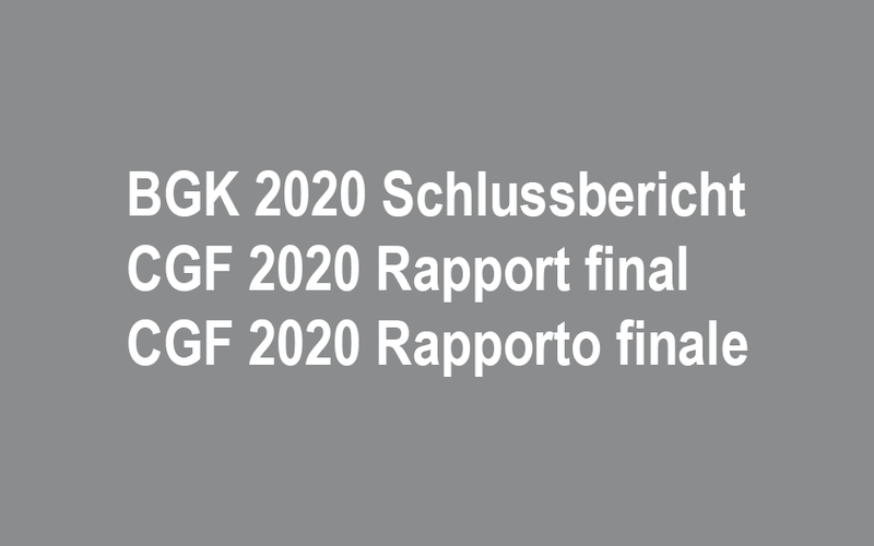 CGF 2020 : Publication du rapport final